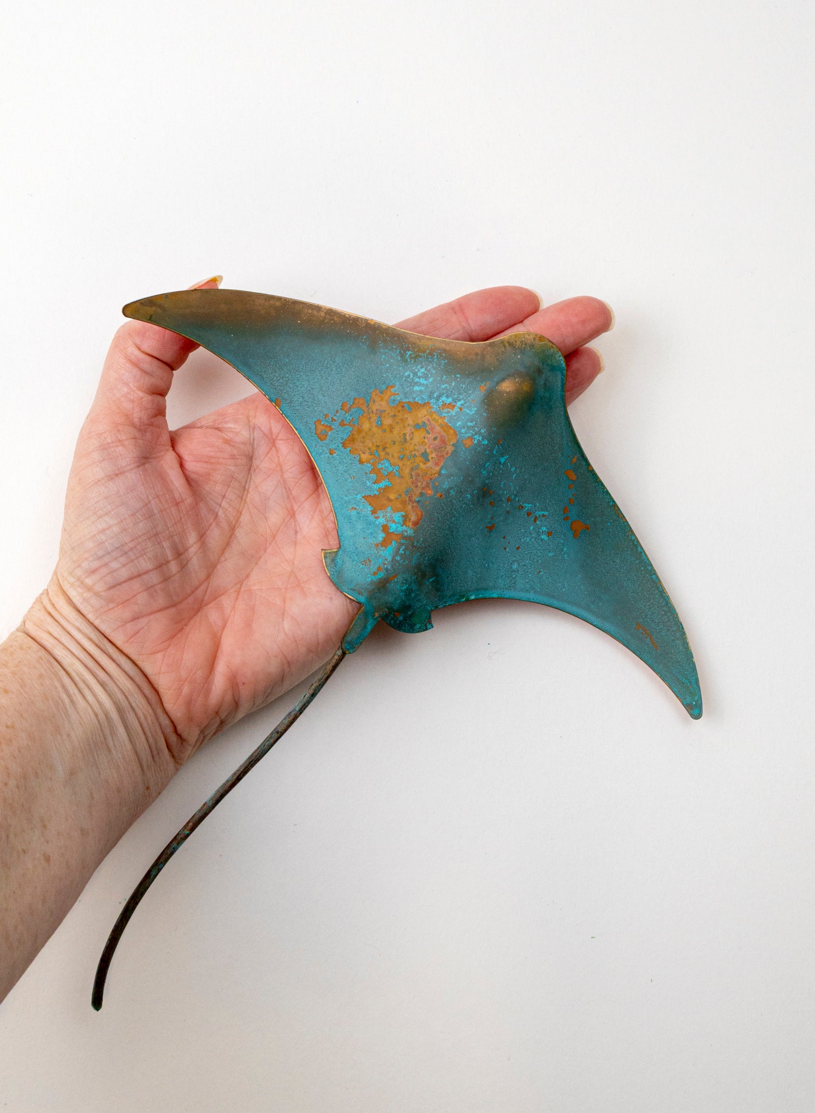 Stingray - Medium