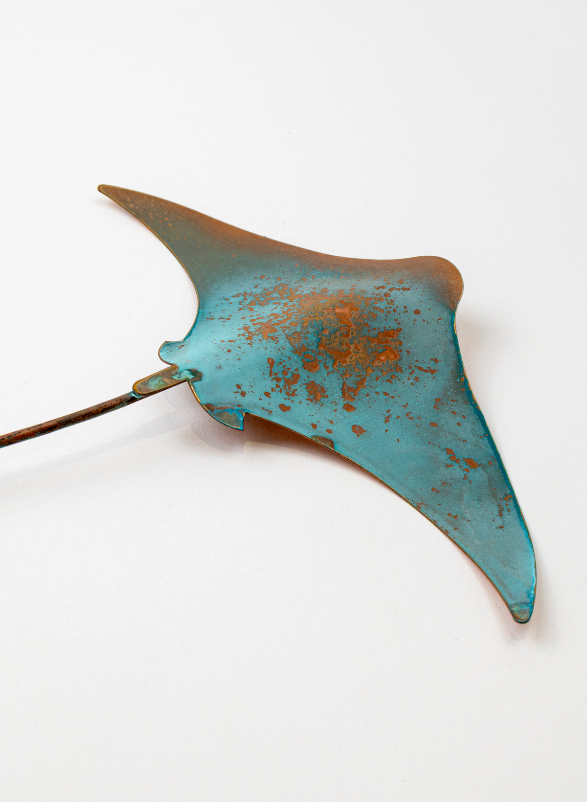 Stingray - Medium
