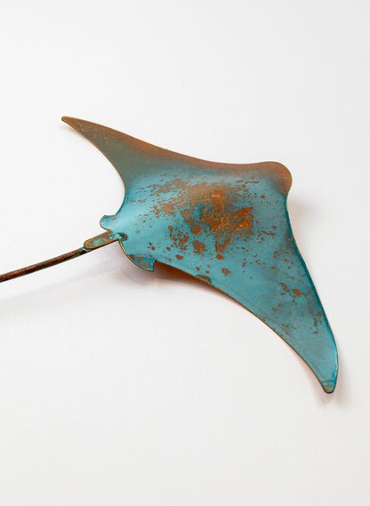 Stingray - Medium