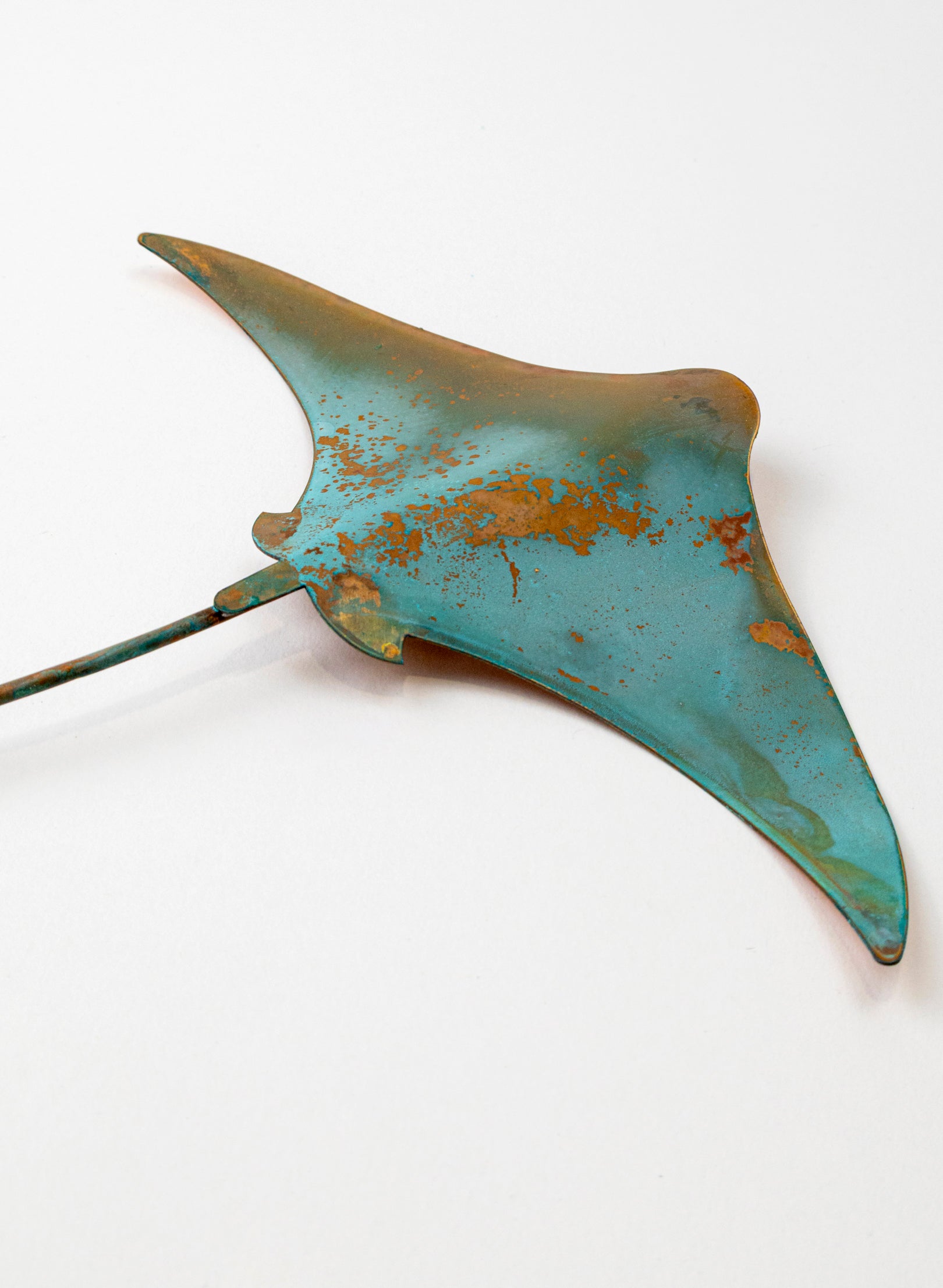 Stingray - Medium