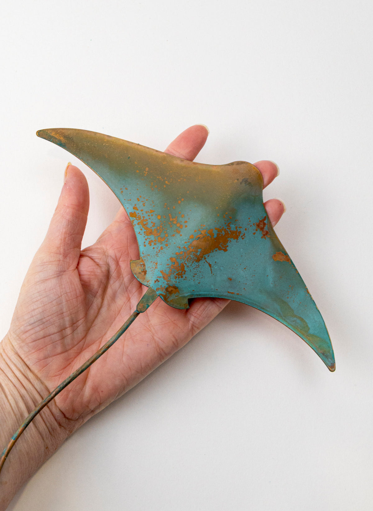 Stingray - Medium