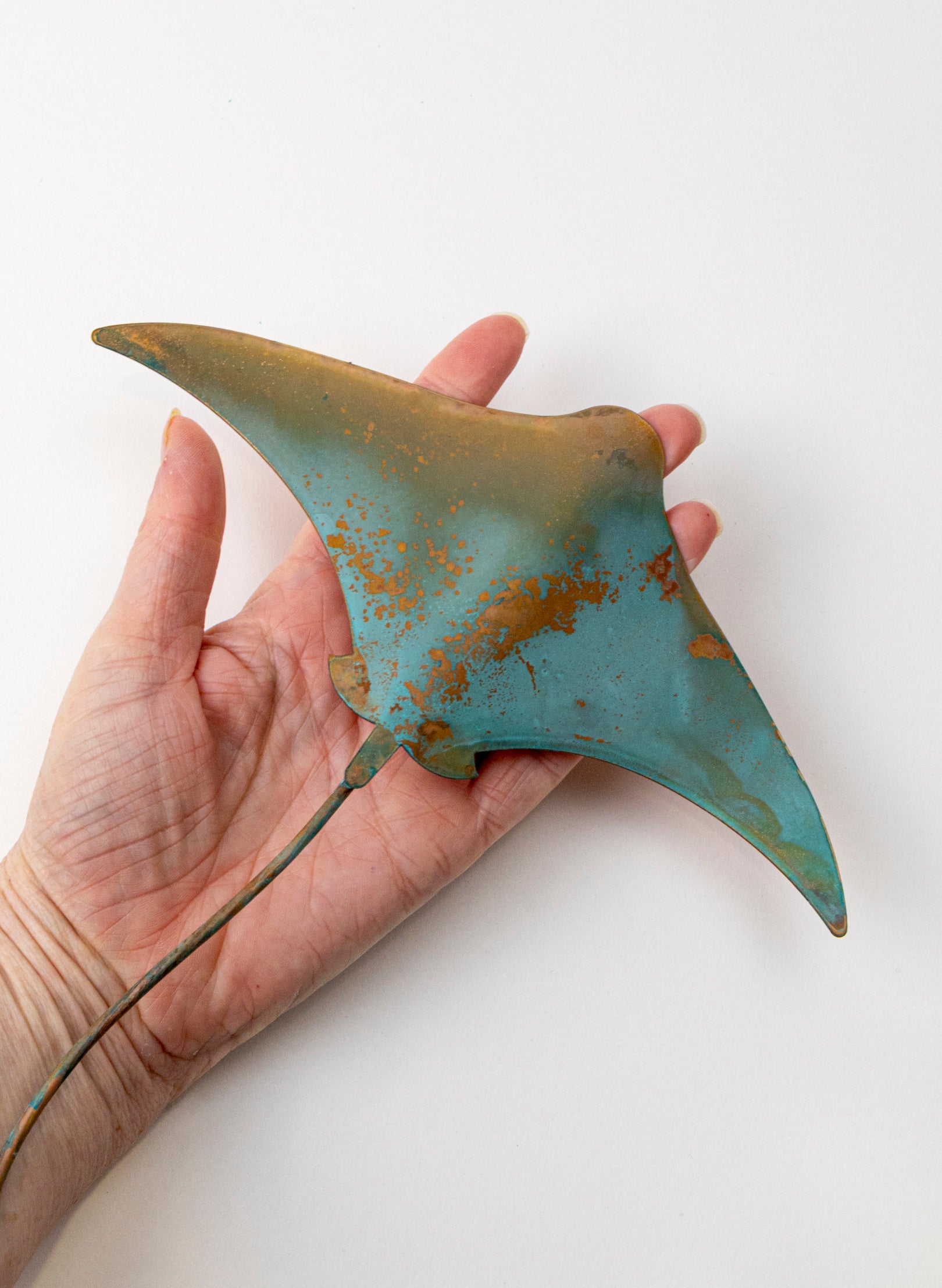 Stingray - Medium