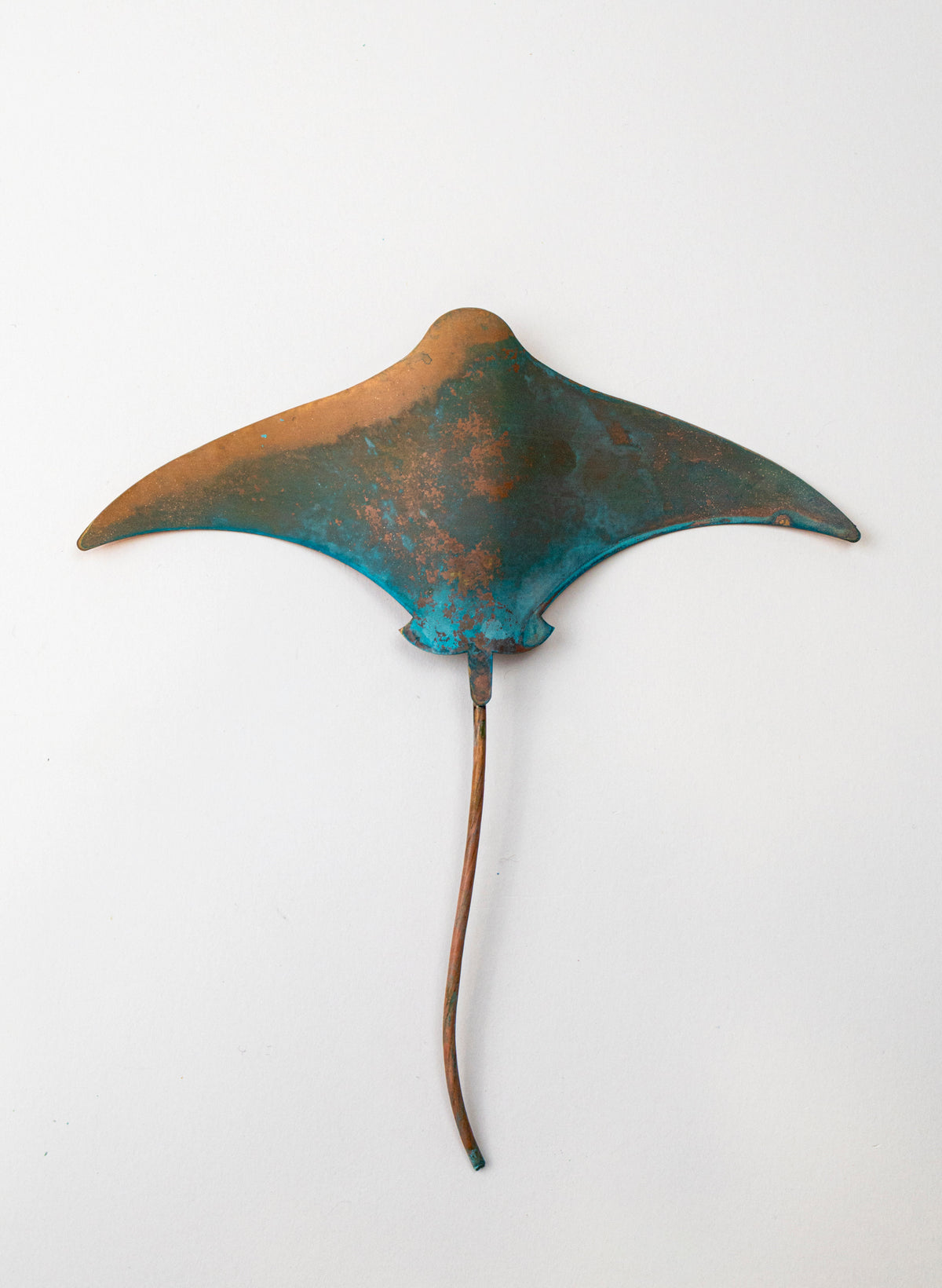 Stingray - Medium