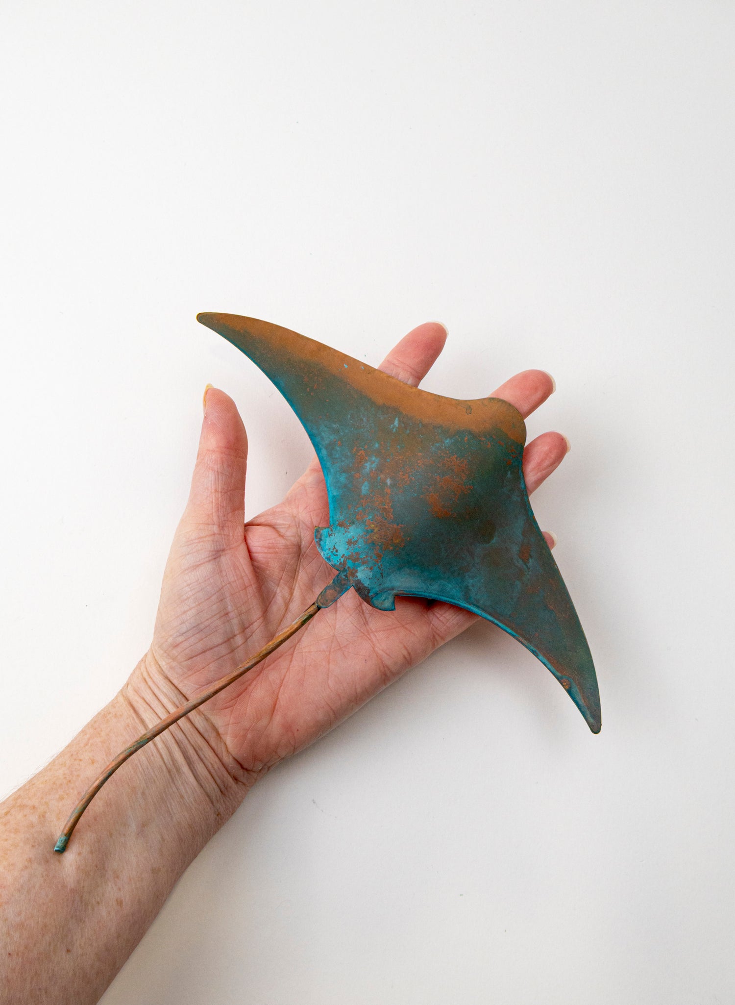 Stingray - Medium