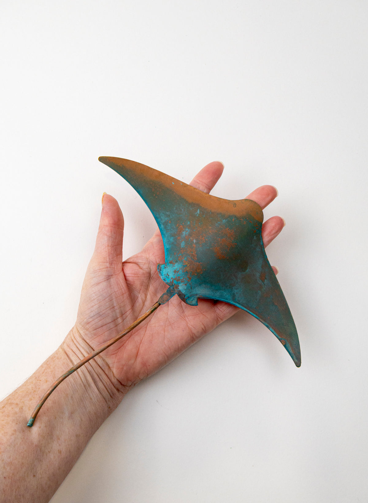 Stingray - Medium