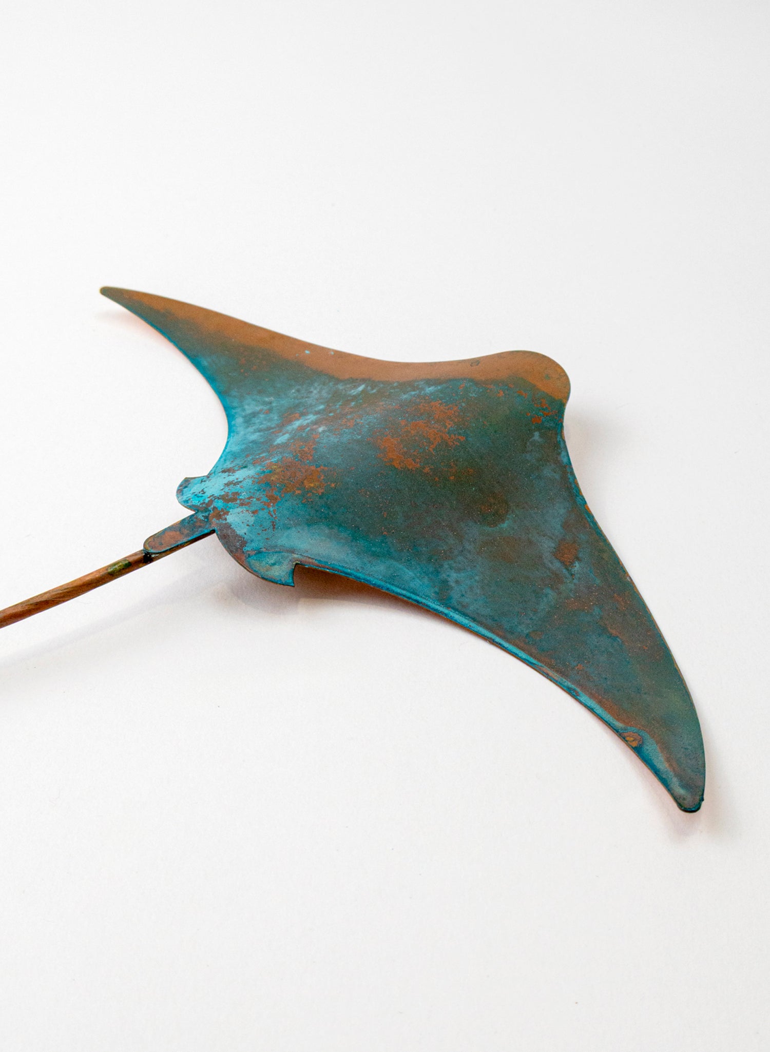 Stingray - Medium