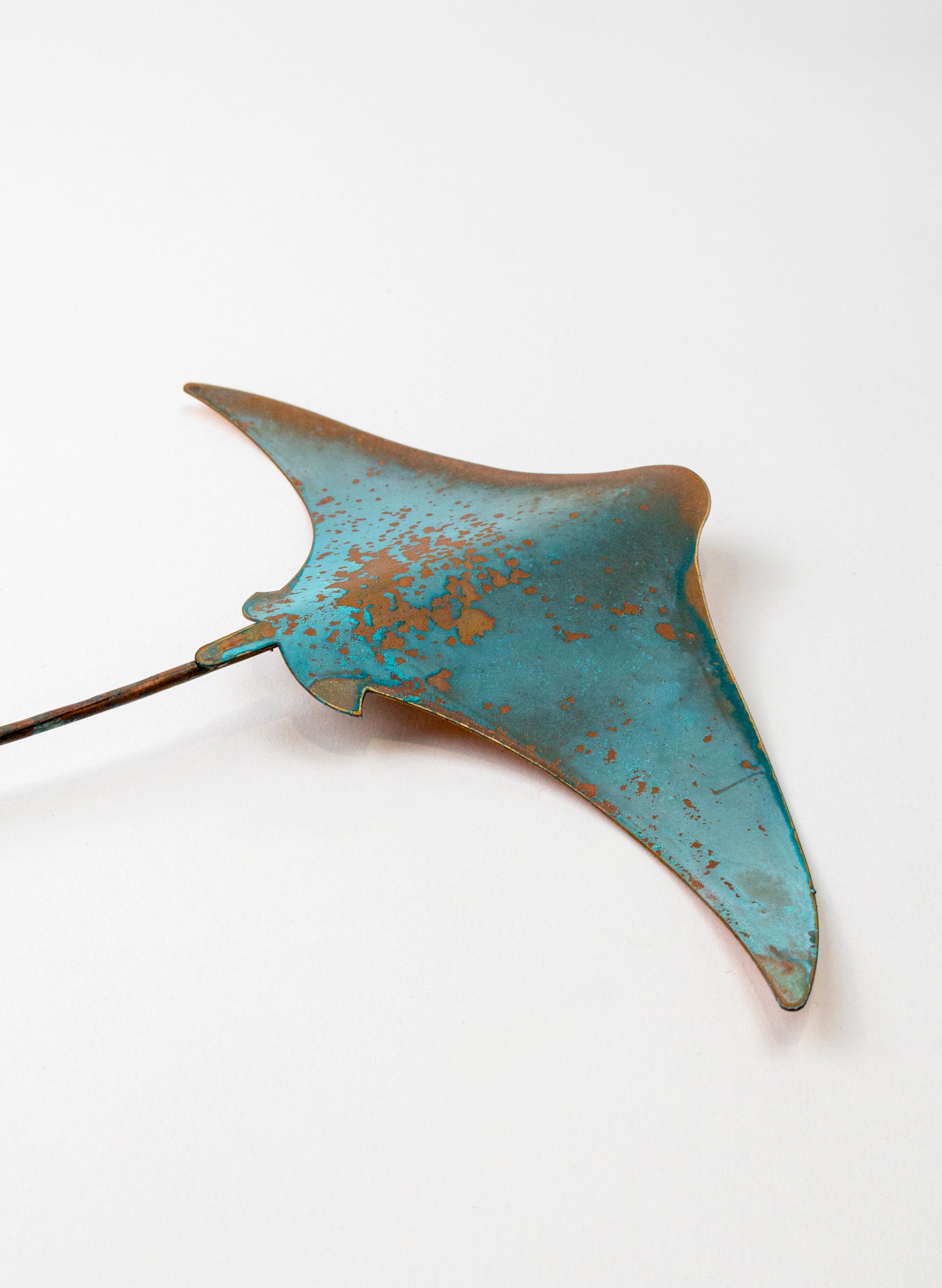Stingray - Medium