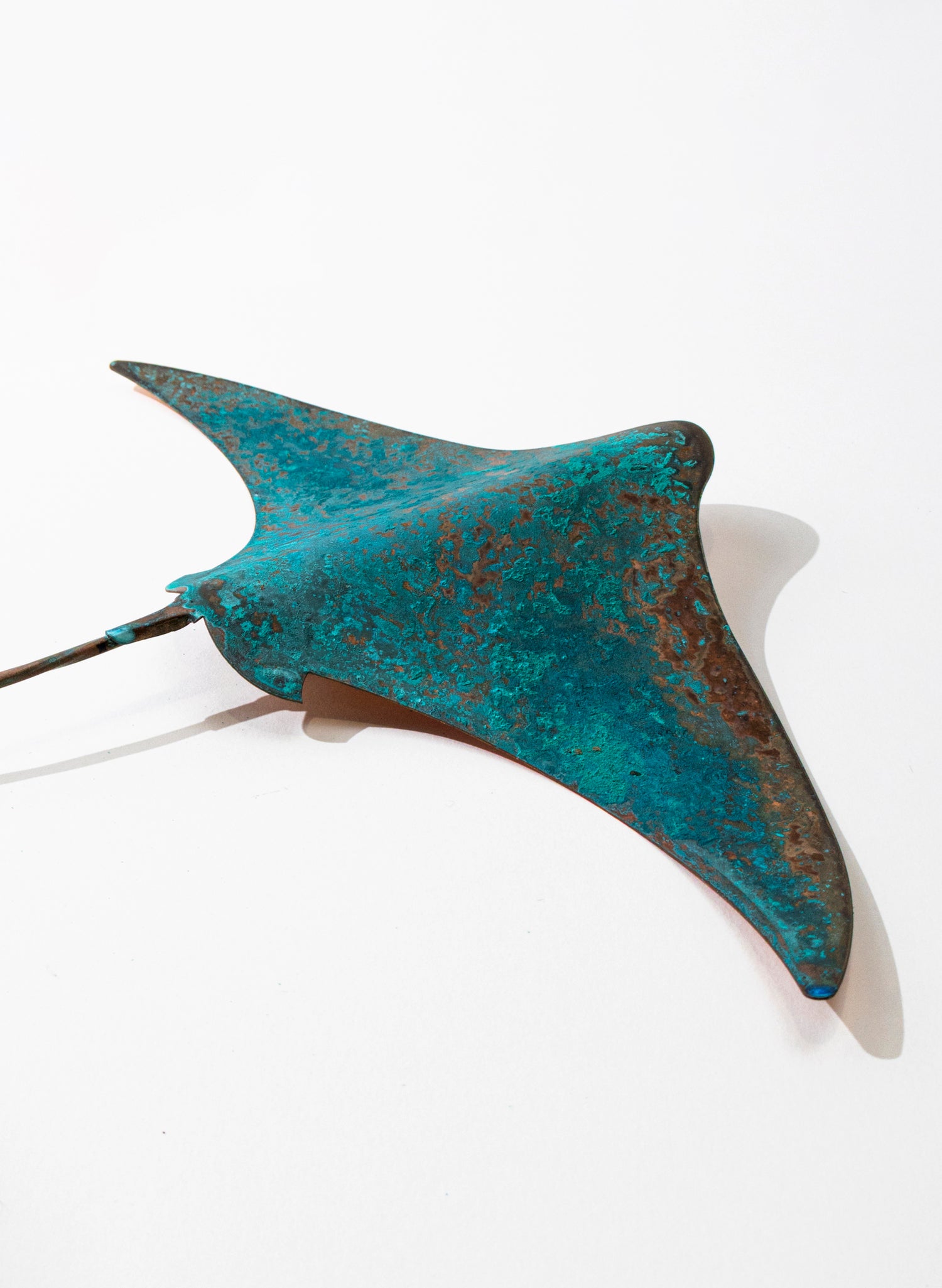 Stingray - Large