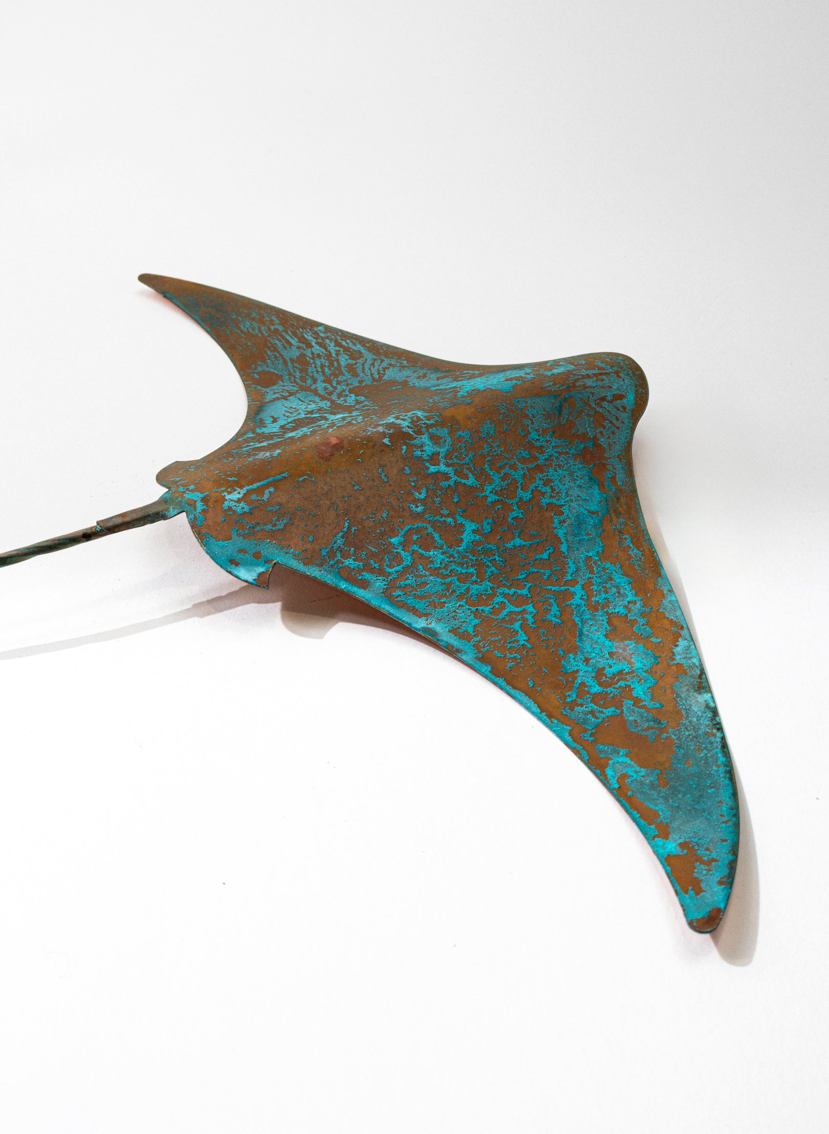 Stingray - Large