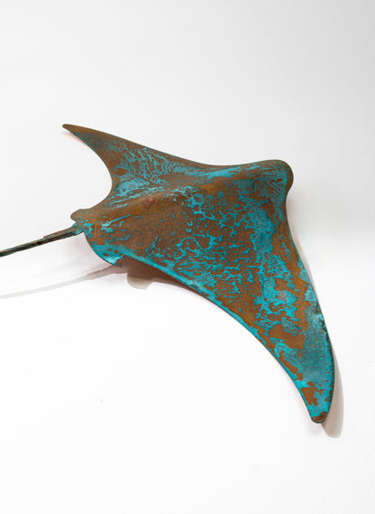 Stingray - Large