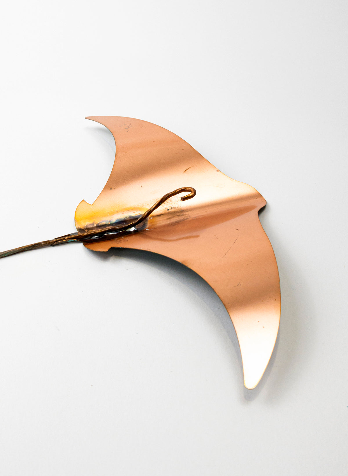 Stingray - Large