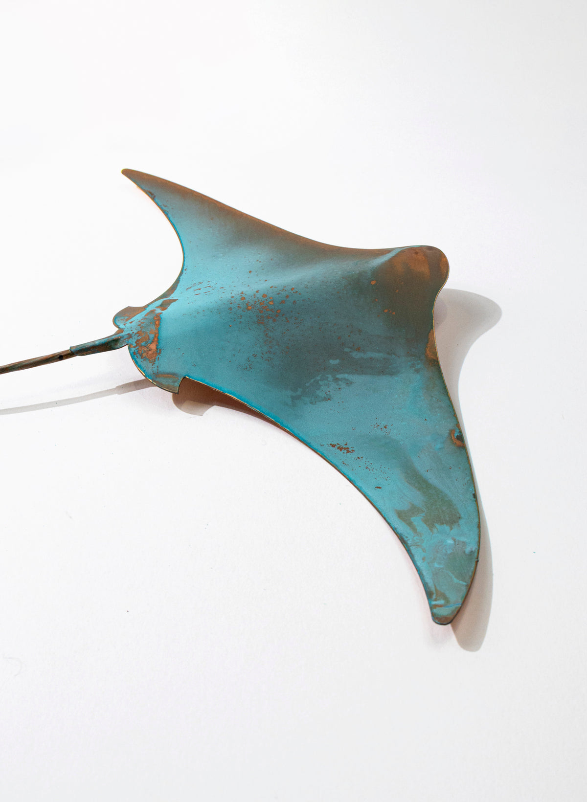 Stingray - Large