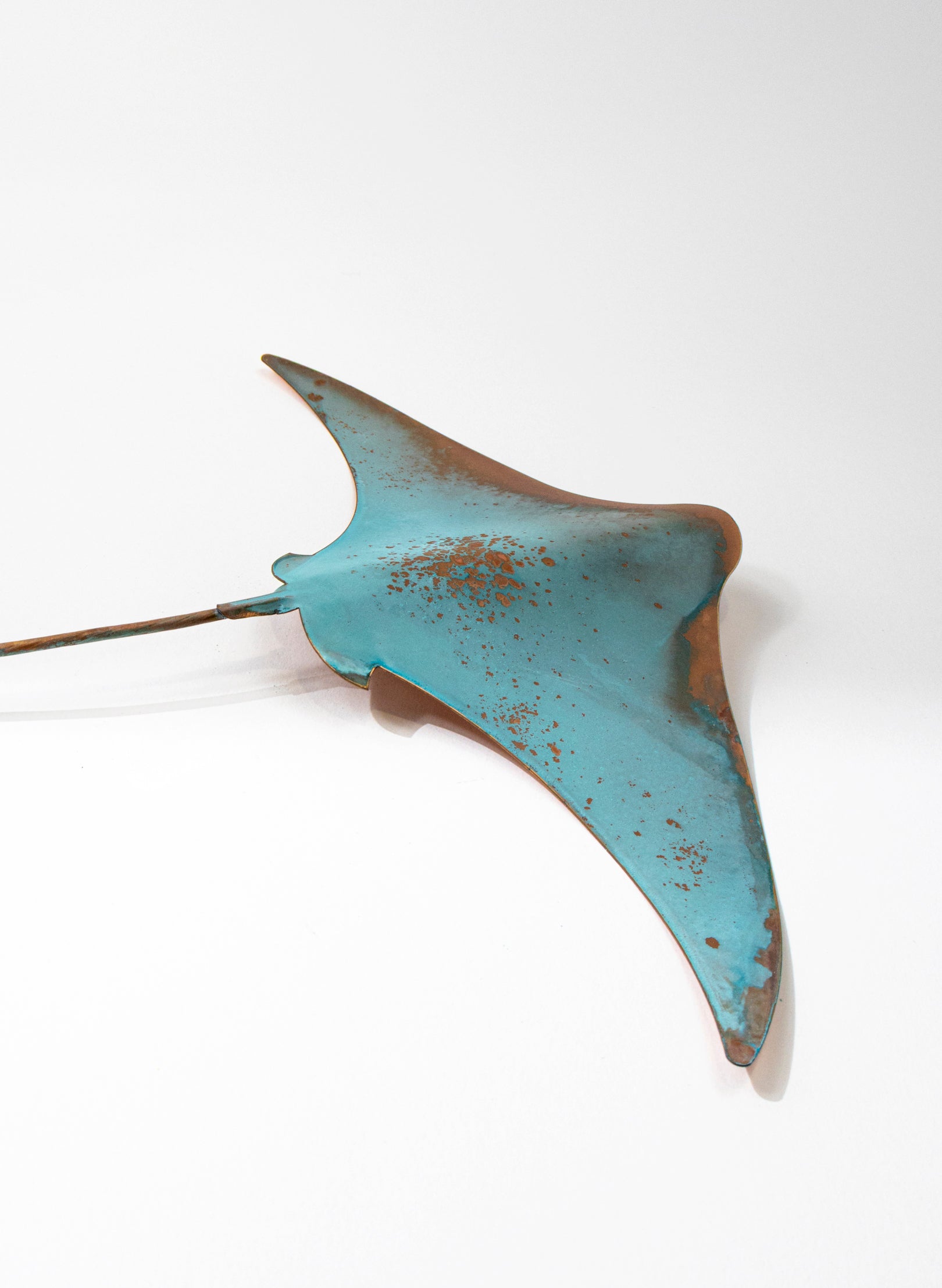 Stingray - Large