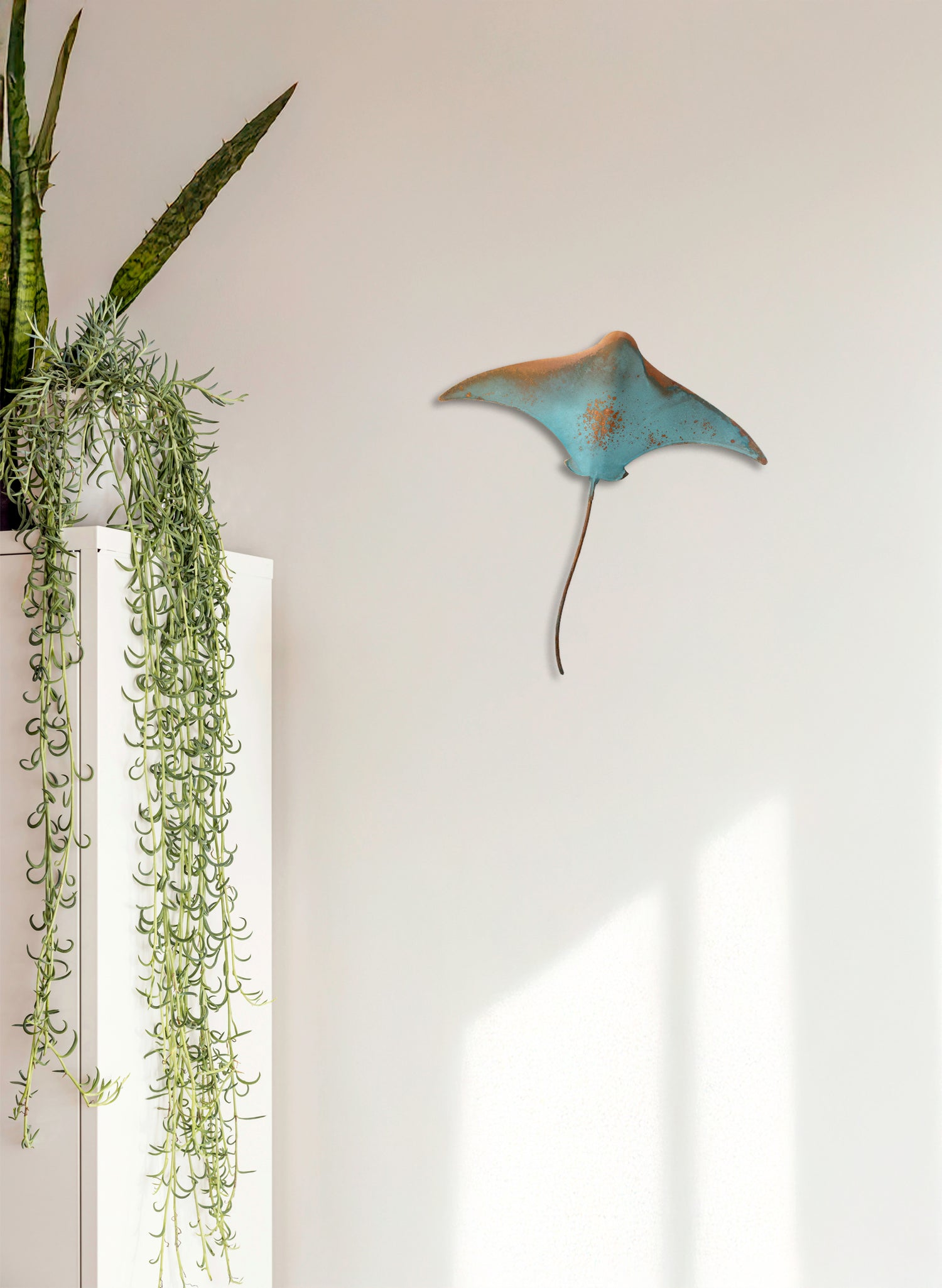 Stingray - Large