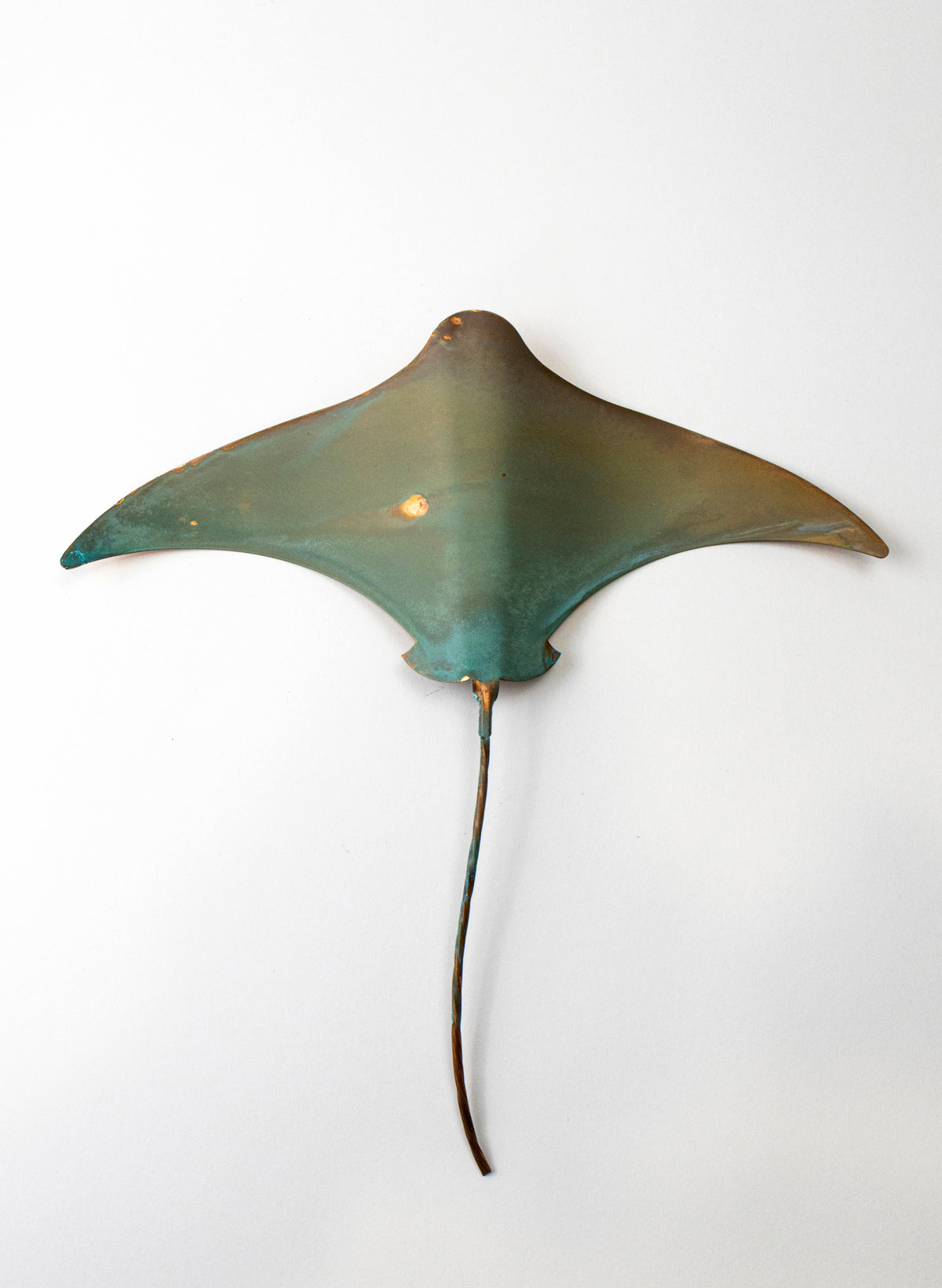 Stingray - Large