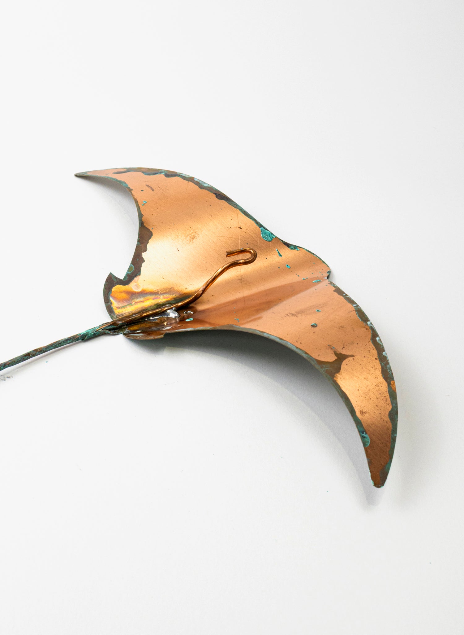 Stingray - Large