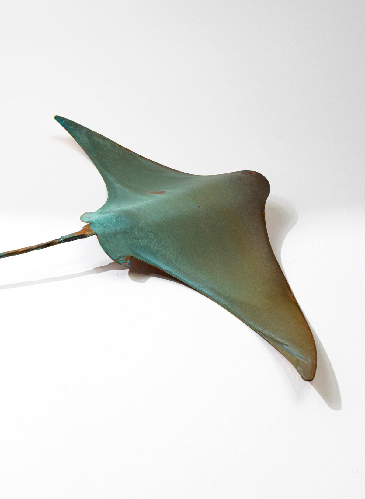 Stingray - Large
