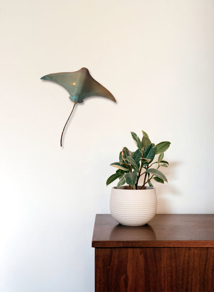 Stingray - Large