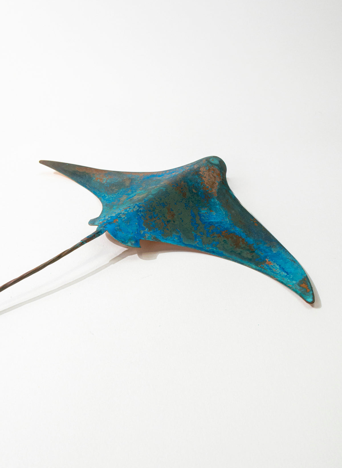 Stingray - Large