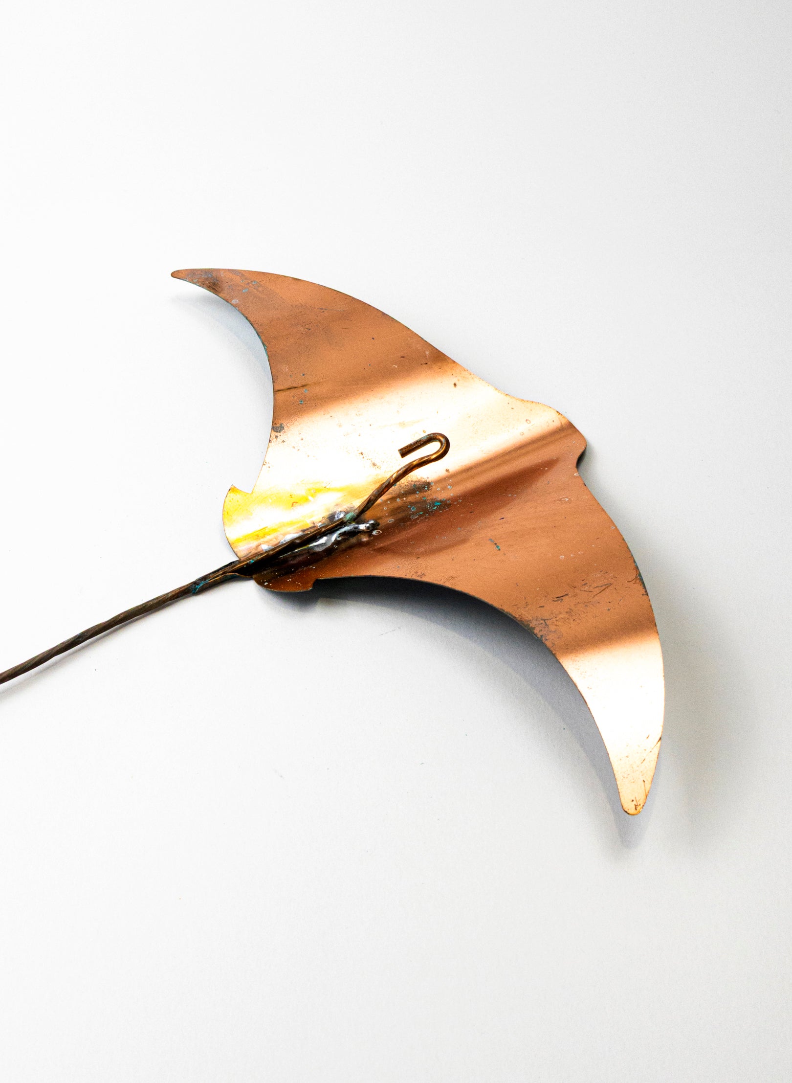 Stingray - Large