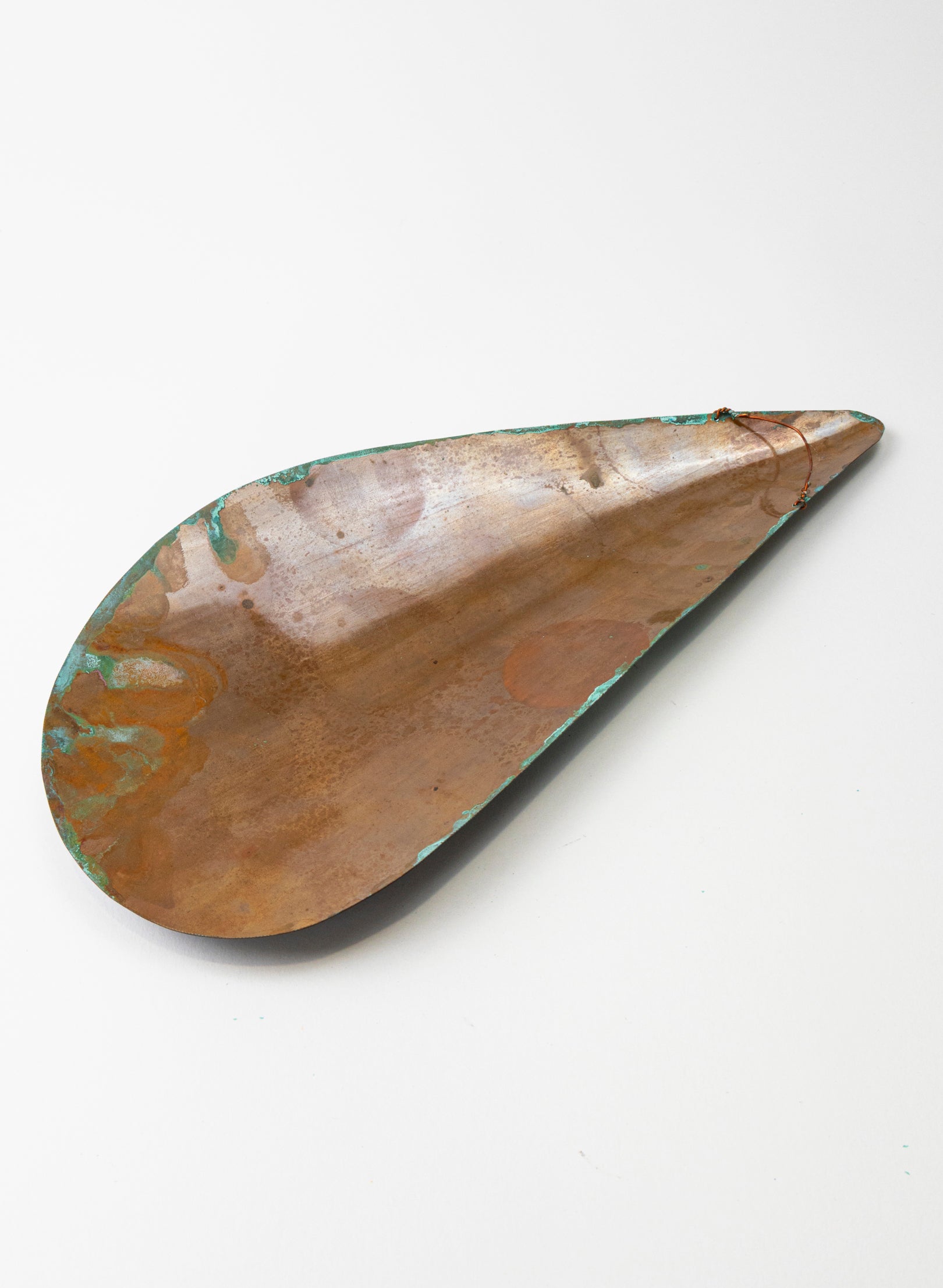 Mussel Pair