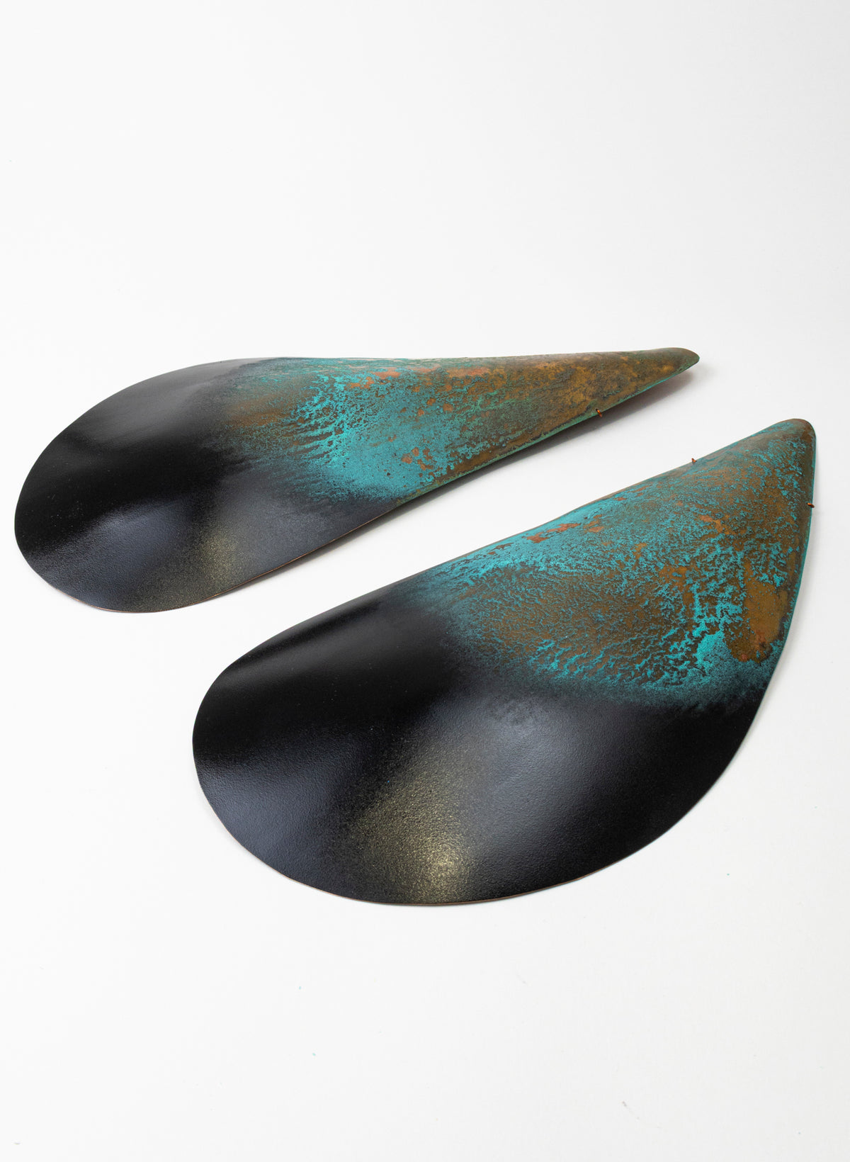 Mussel Pair