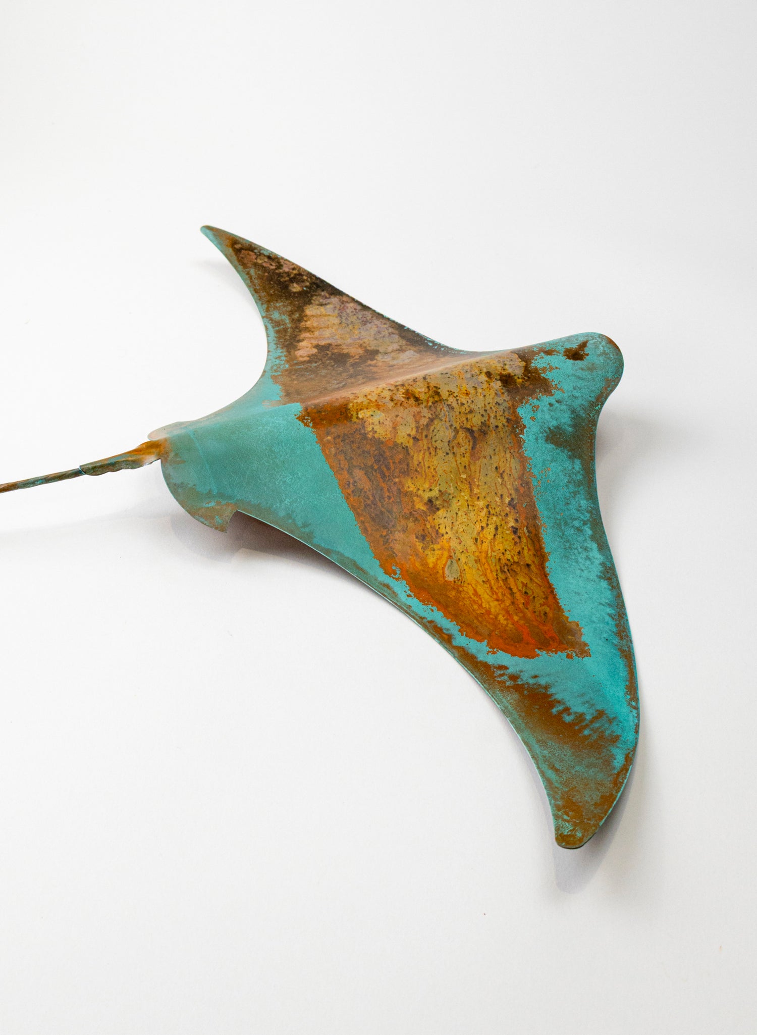 Stingray - XL