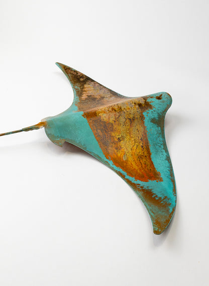 Stingray - XL