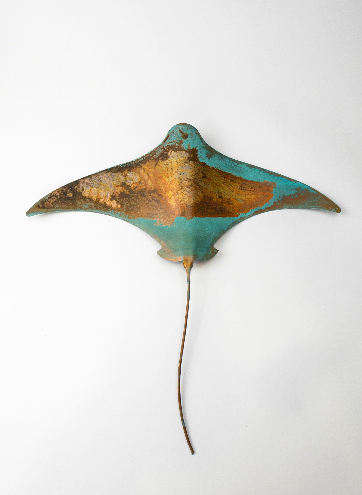 Stingray - XL