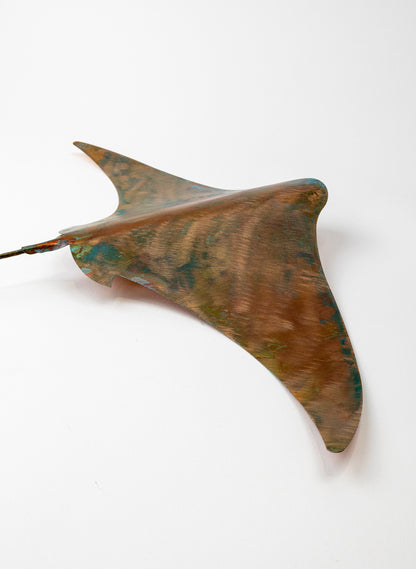 Stingray - XL
