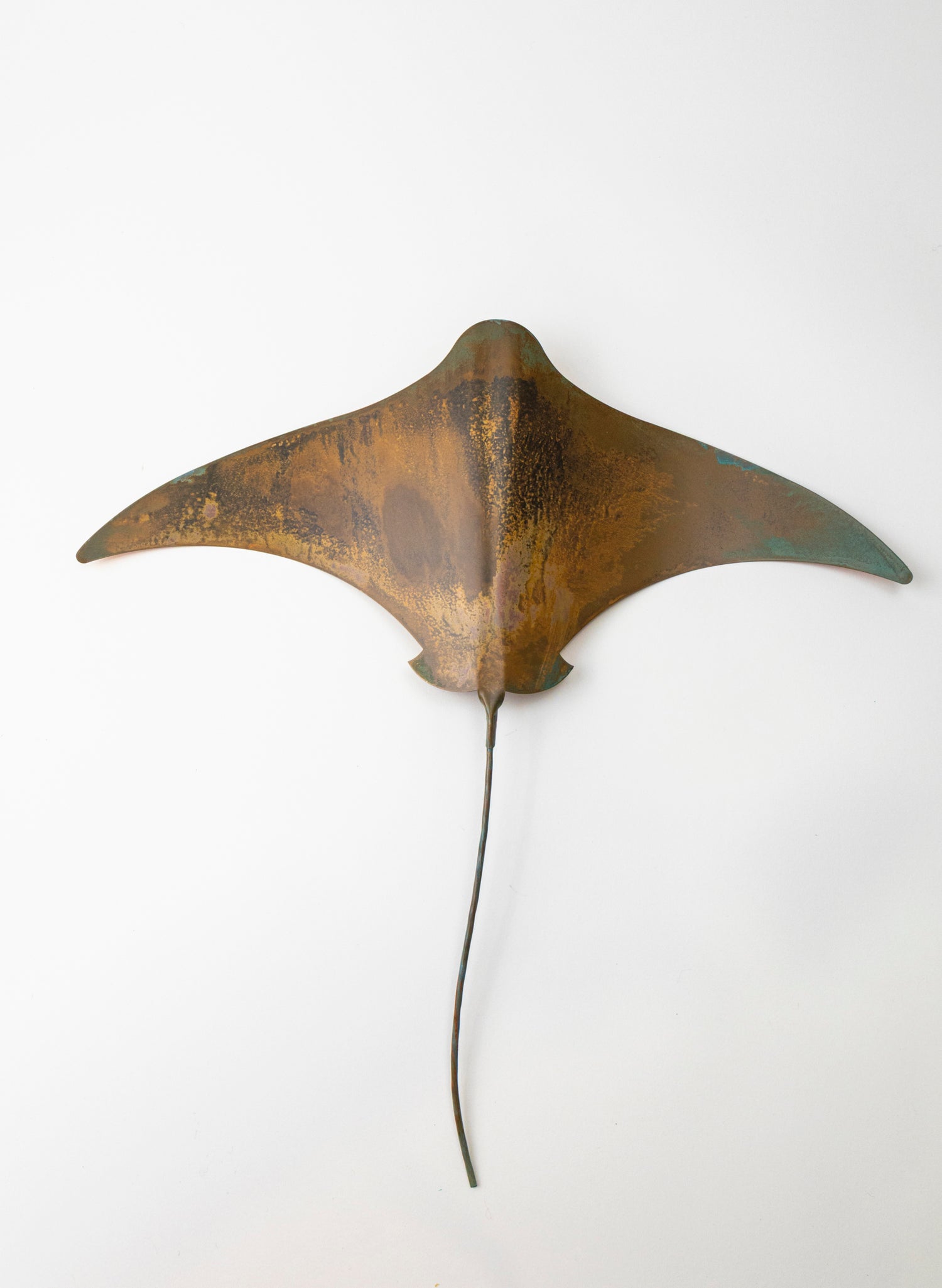 Stingray - XL