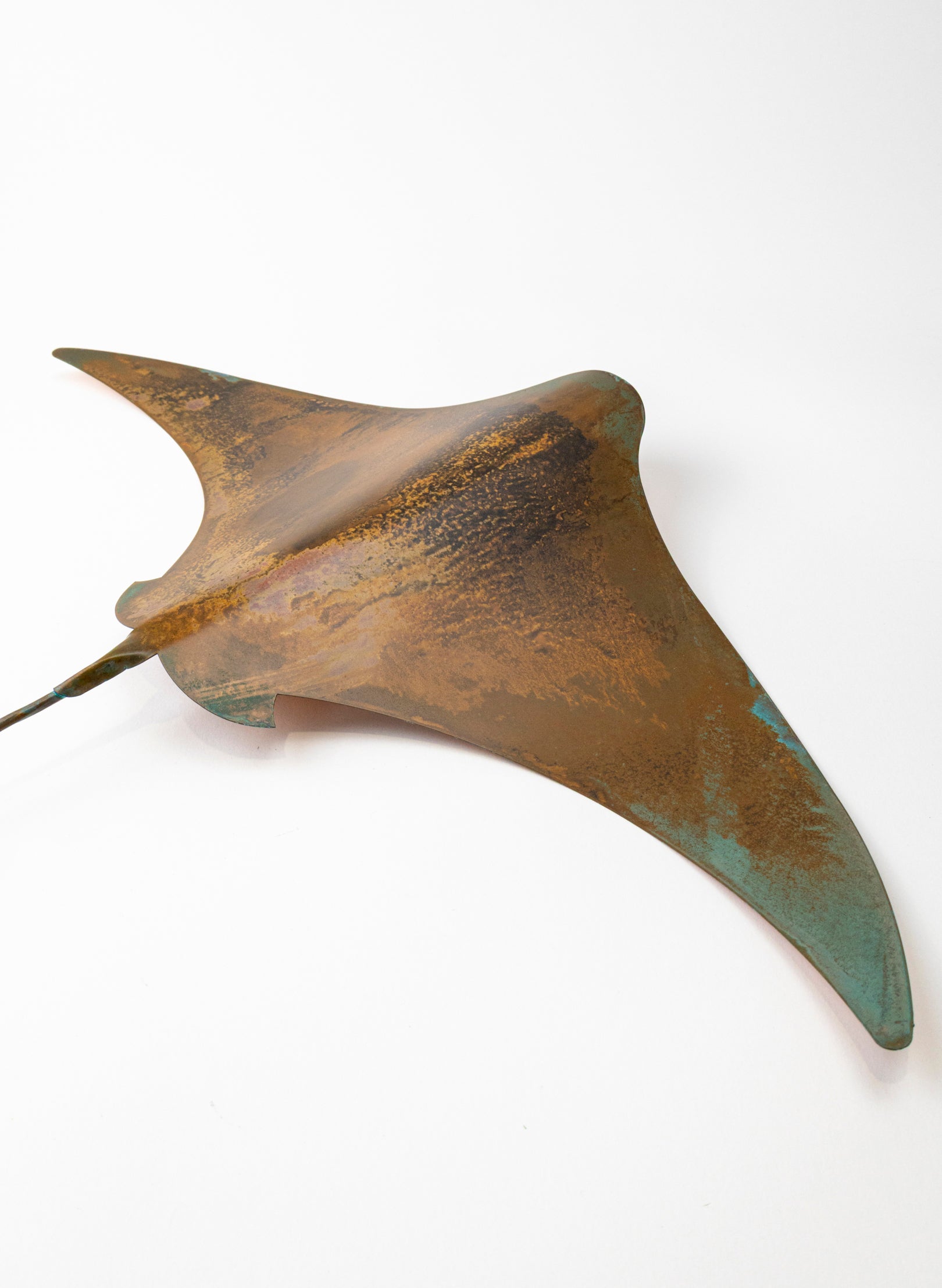 Stingray - XL