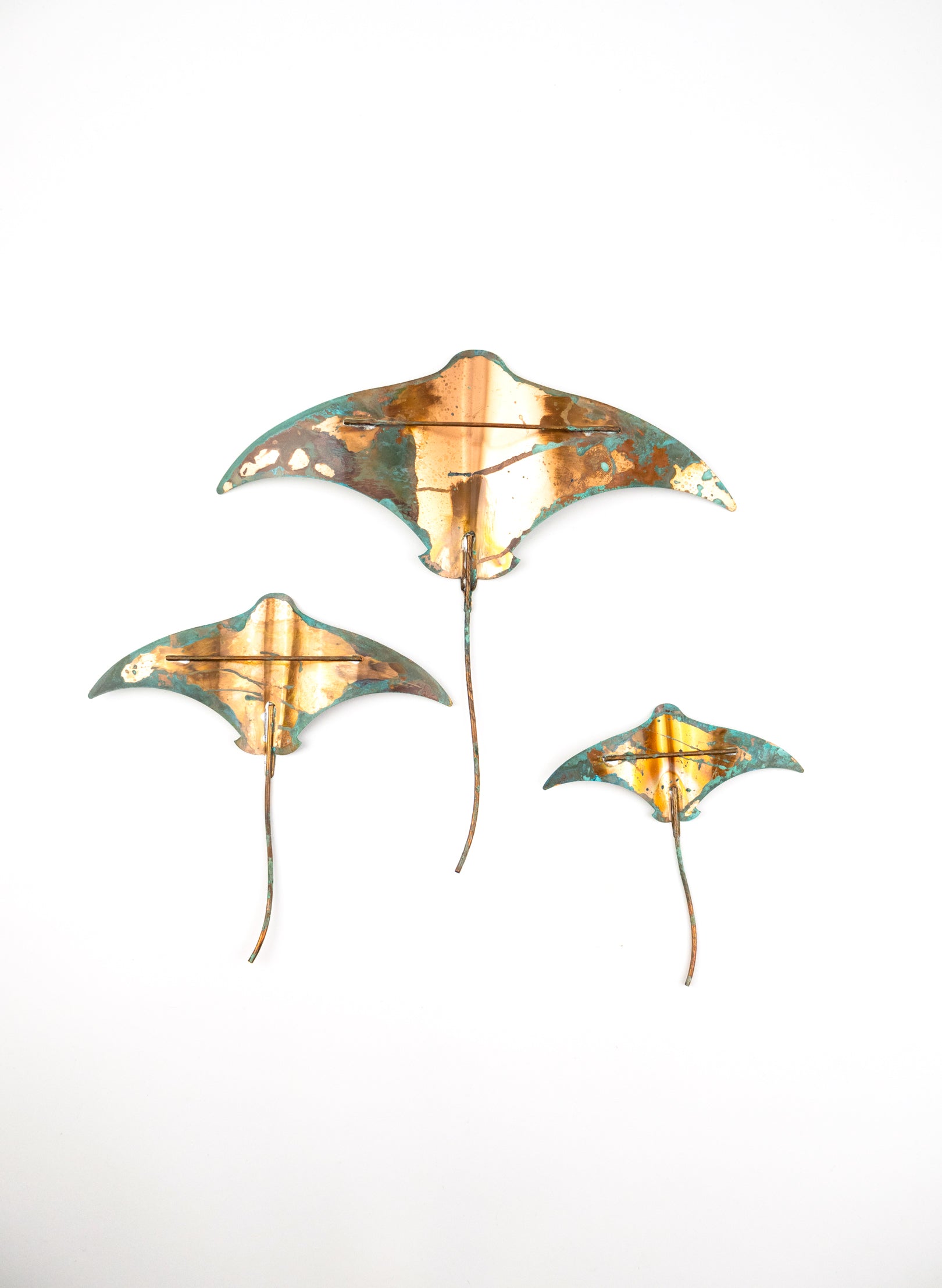 Stingray - Set of 3 