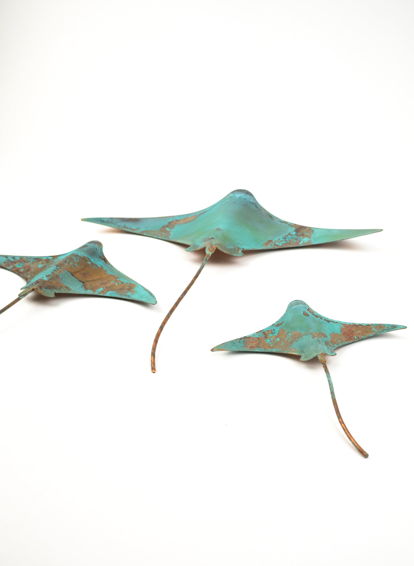Stingray - Set of 3 