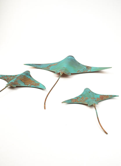 Stingray - Set of 3 
