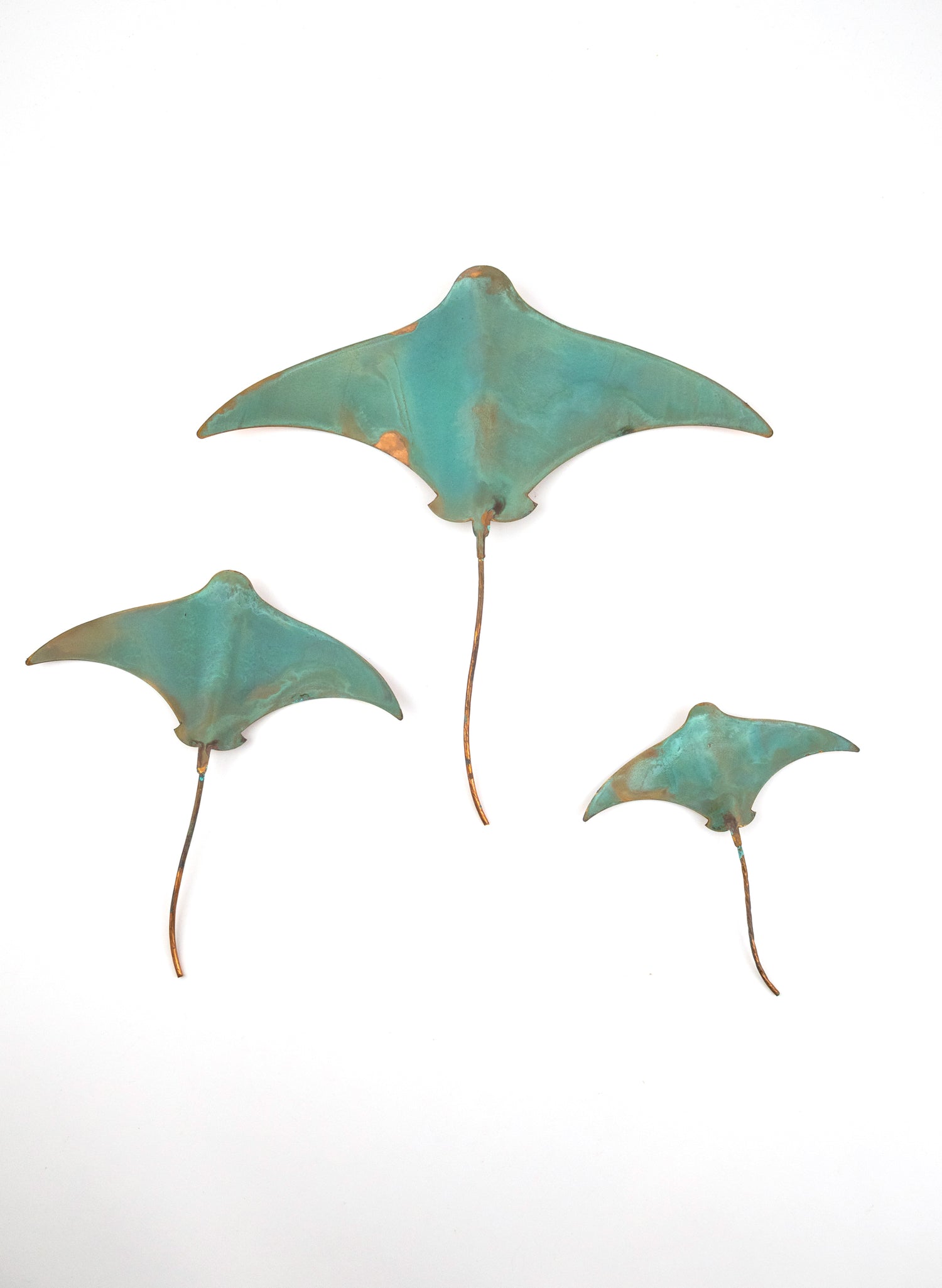 Stingray - Set of 3 
