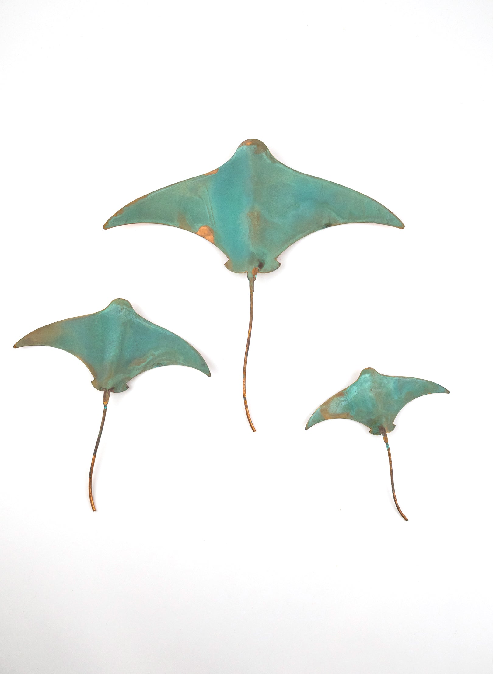 Stingray - Set of 3 