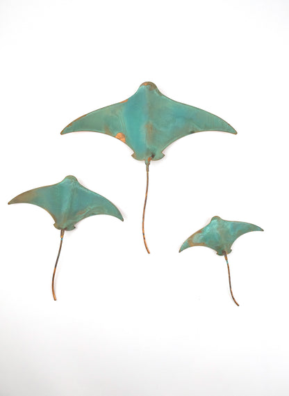 Stingray - Set of 3 