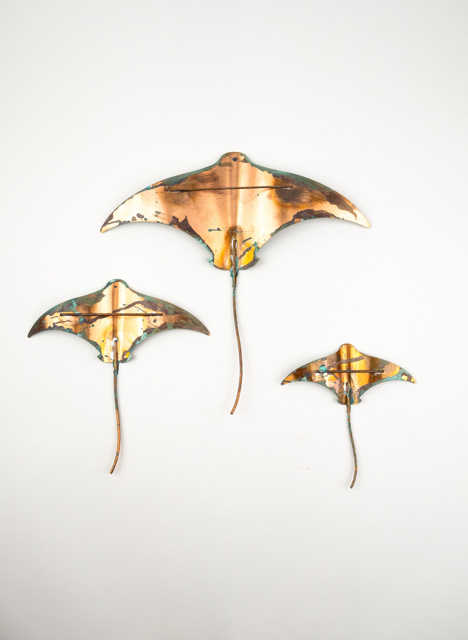 Stingray - Set of 3 