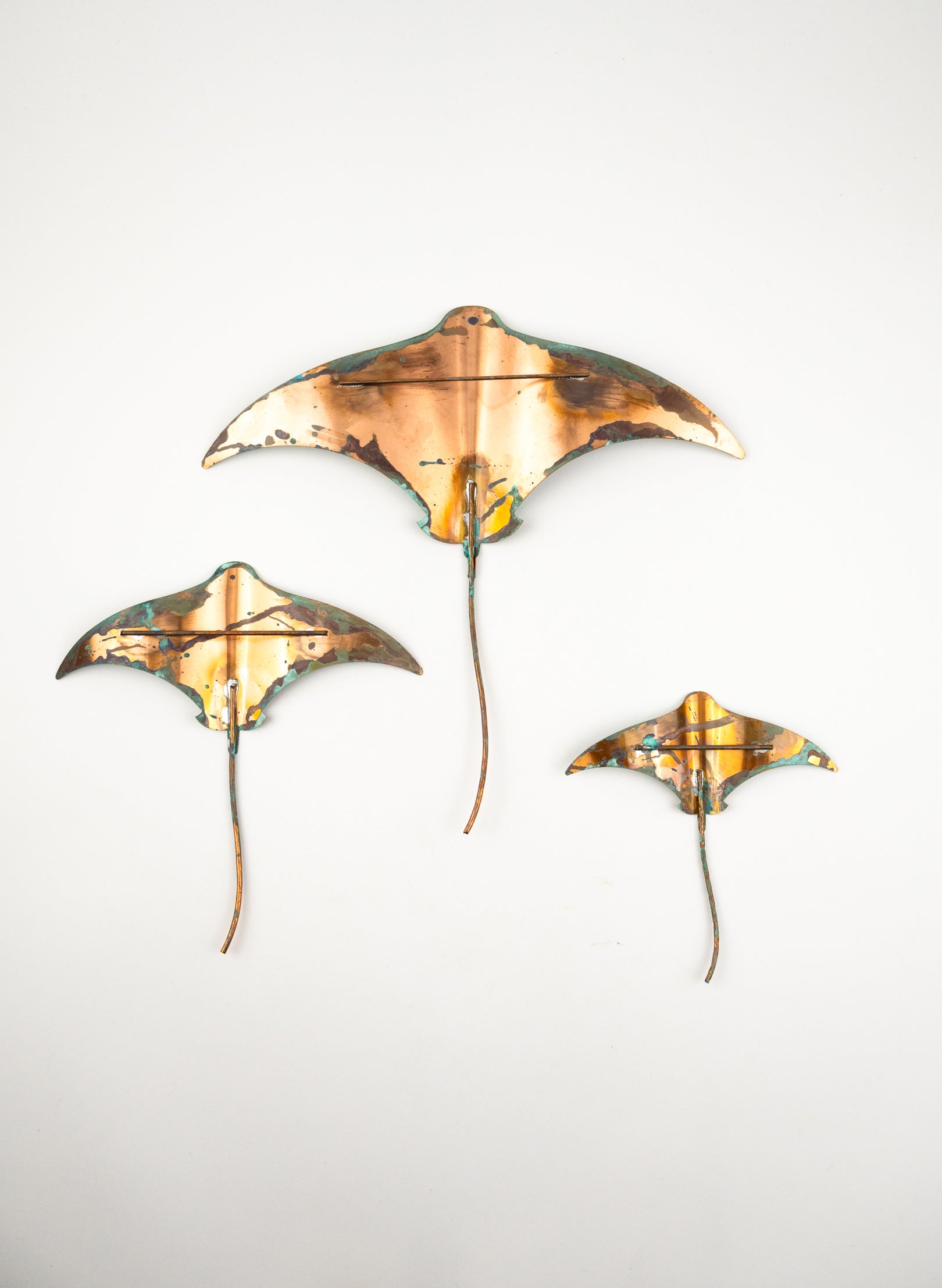 Stingray - Set of 3 