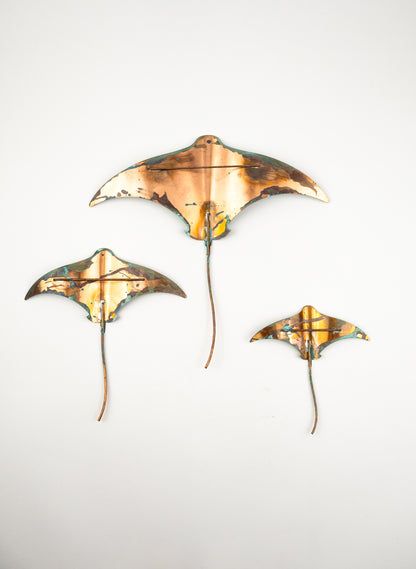 Stingray - Set of 3 