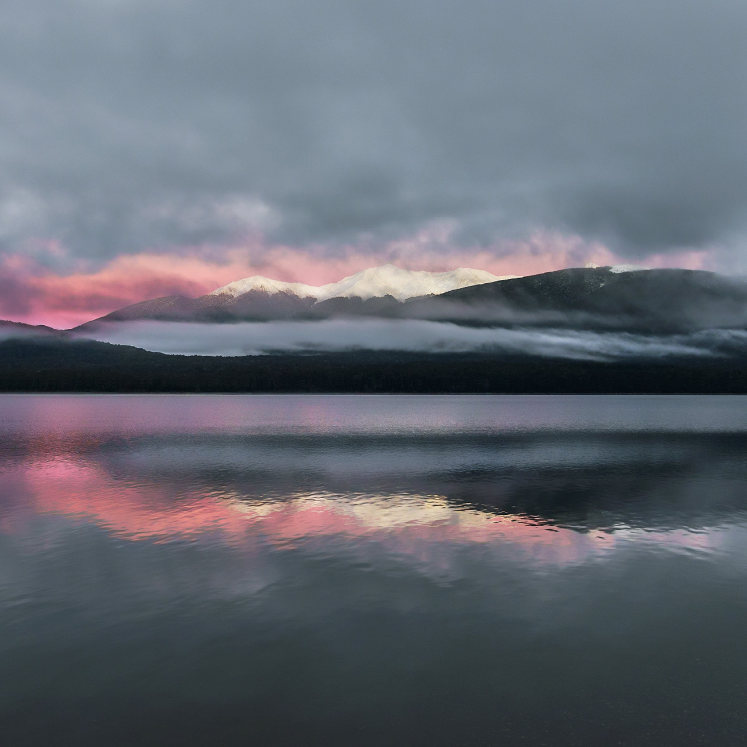Dappled Dawn - Photographic Print