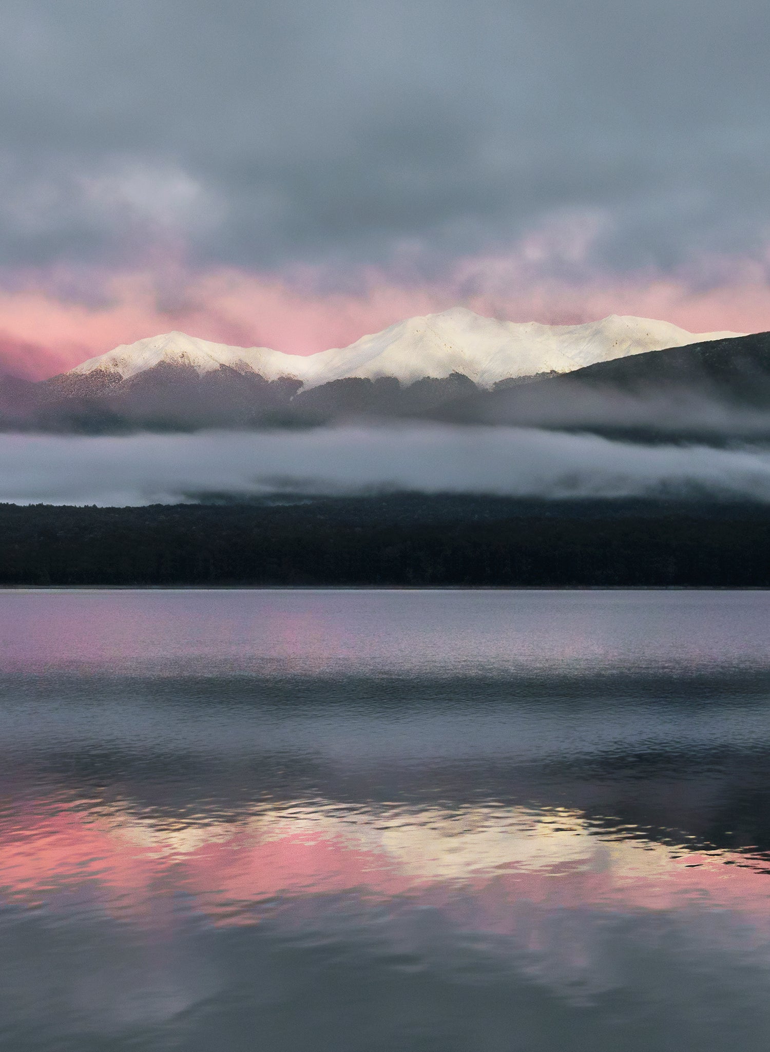 Dappled Dawn - Photographic Print