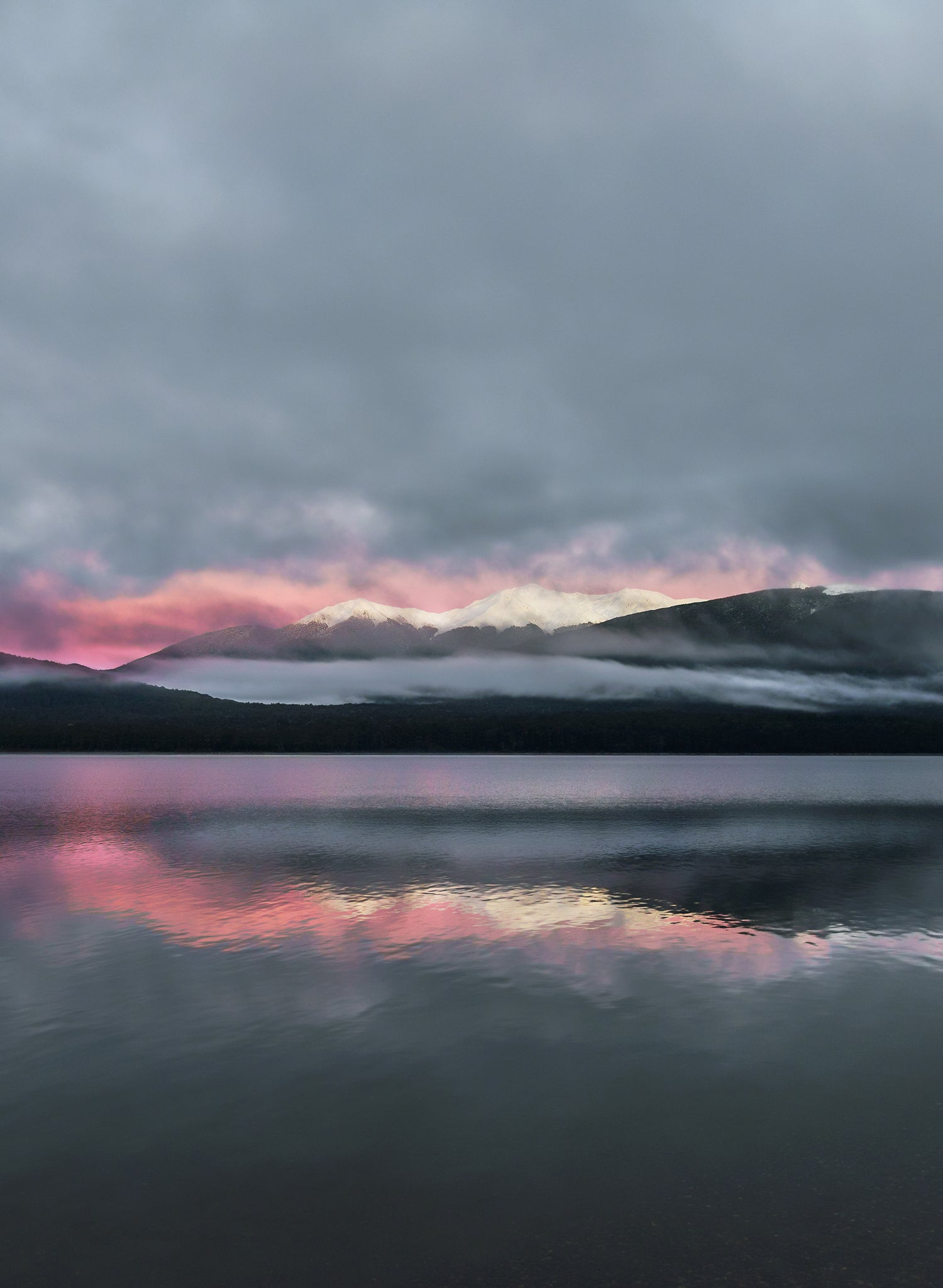 Dappled Dawn - Photographic Print