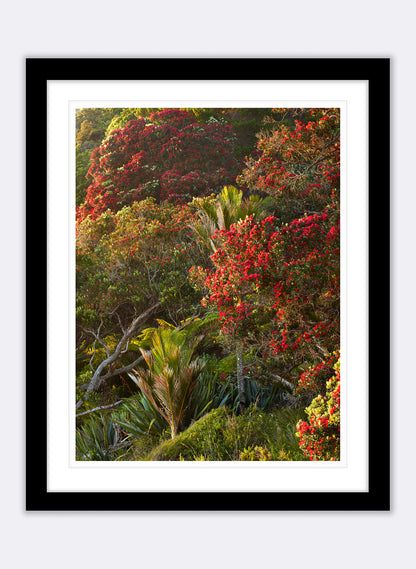 Dawn Parade - Photographic Print