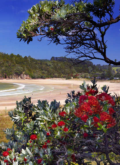 Day At The Beach  - Photographic Print