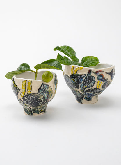 Kawakawa Curio - xsml