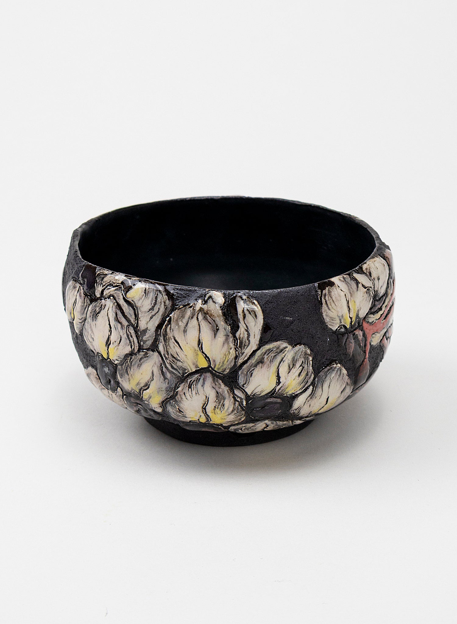 Wisteria&