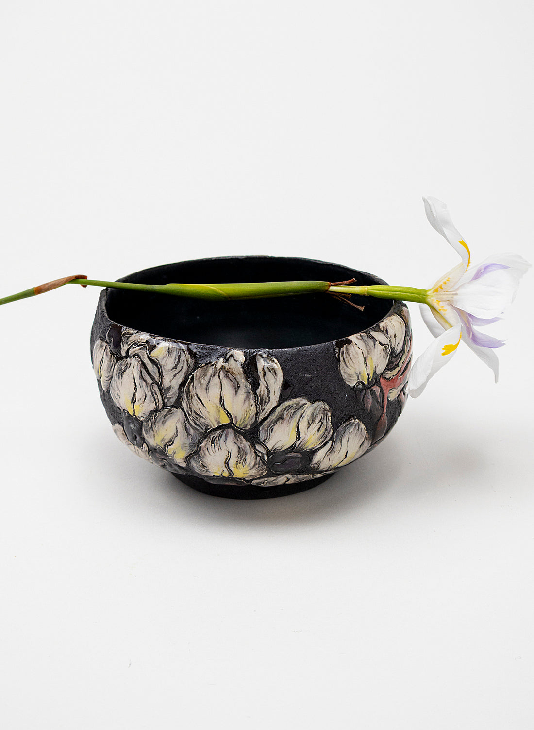 Wisteria&
