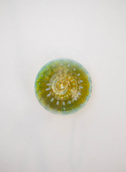 Sea Urchin - Ocean Floor 